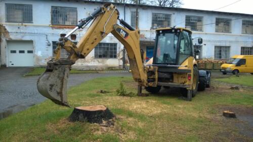 Kácení stromů Praha